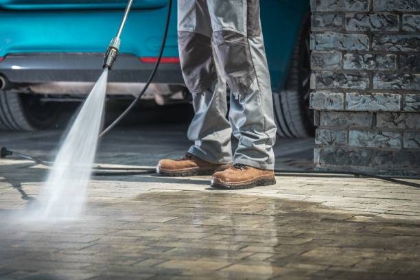 Best House Exterior Washing  in Indian River, MI