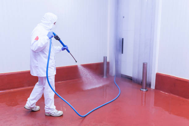 Best Concrete Sealing  in Indian River, MI