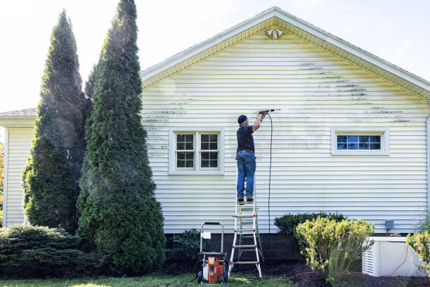 Best Dumpster Area Cleaning  in Indian River, MI